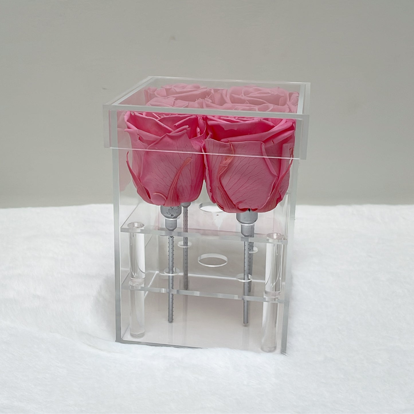Preserved Roses