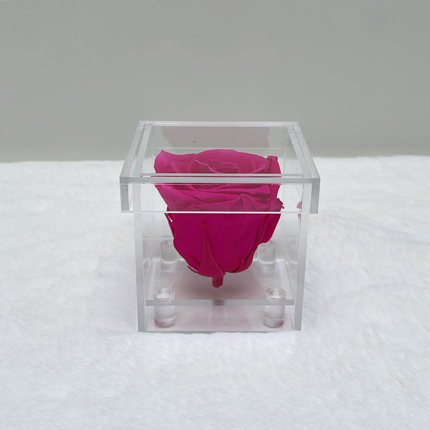 Preserved Roses