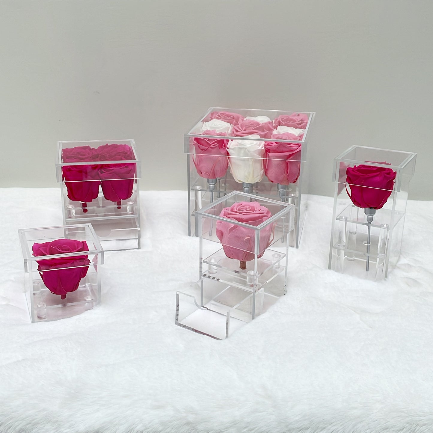 Preserved Roses