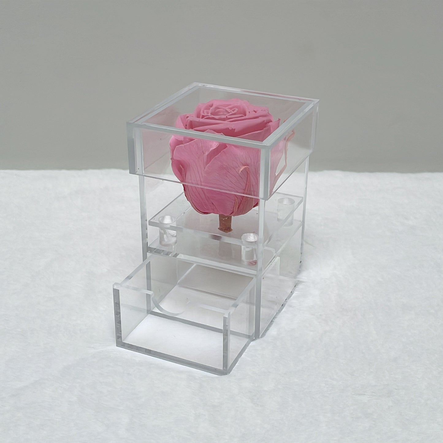 Preserved Roses