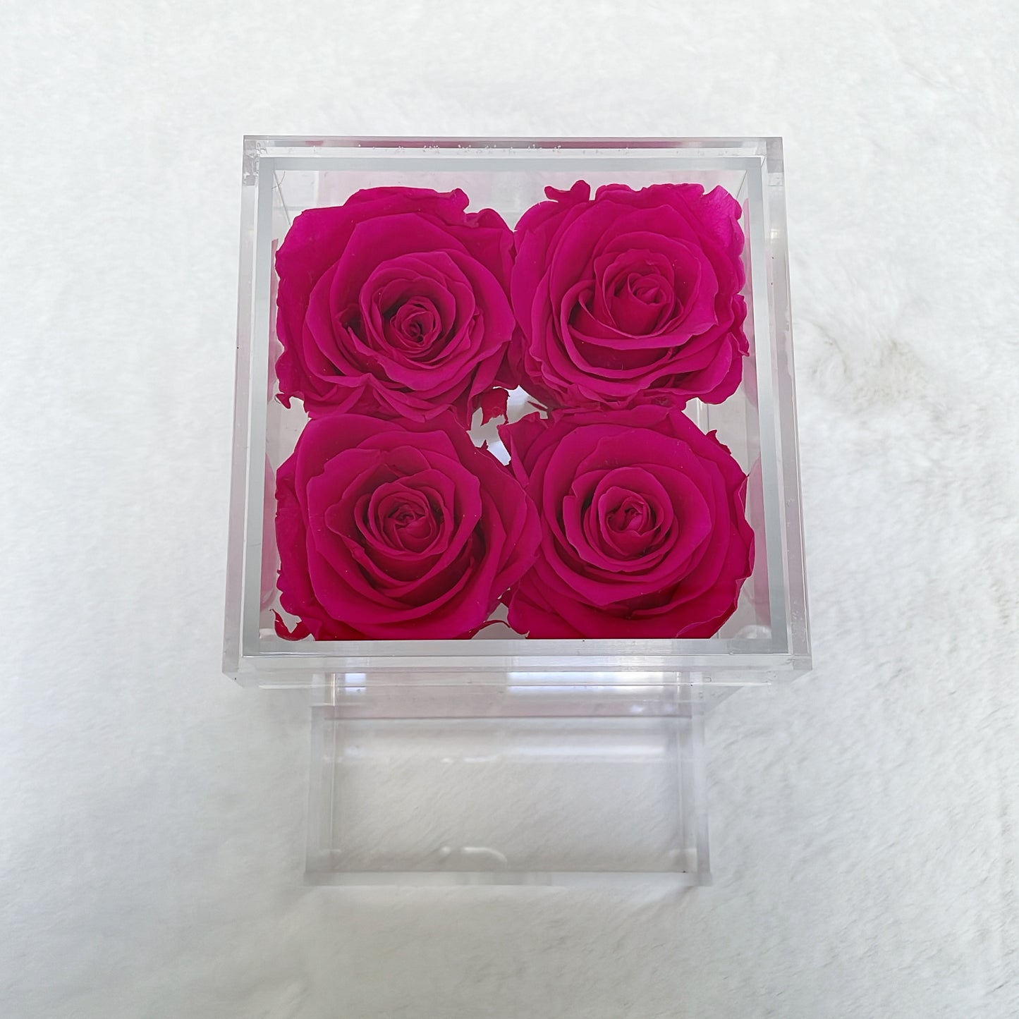 Preserved Roses