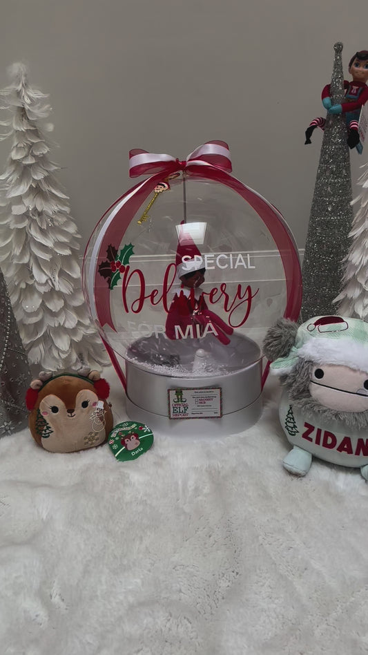 CUSTOM BALLOON - ELF SNOW GLOBE WITH FAN (PRICE DOES NOT INCLUDE ELF)