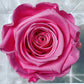 PERSONALIZED FOREVER ROSE