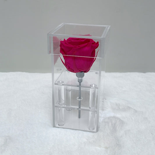SINGLE ROSE WITH STEM