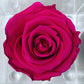 PERSONALIZED FOREVER ROSE